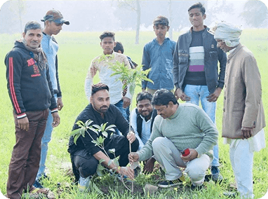 Community tree plantation drive at SSS Anandvan