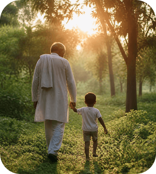 A father walking with his child through a sunlit forest